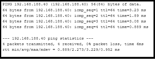 Ping-Test